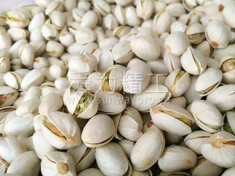 開心果真空耙式干燥機